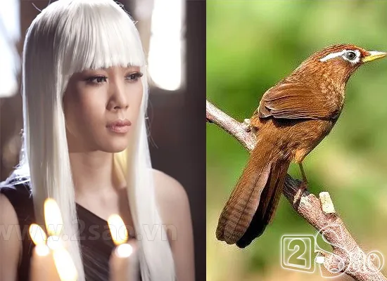 Biệt danh gắn liền với “con vật” của sao Việt ảnh 9