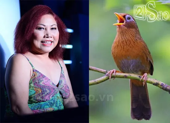 Biệt danh gắn liền với “con vật” của sao Việt ảnh 10