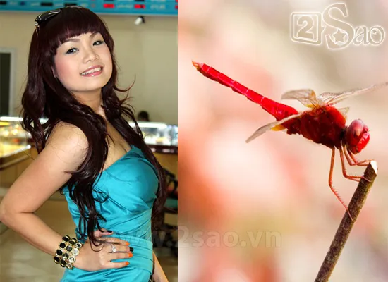 Biệt danh gắn liền với “con vật” của sao Việt ảnh 4