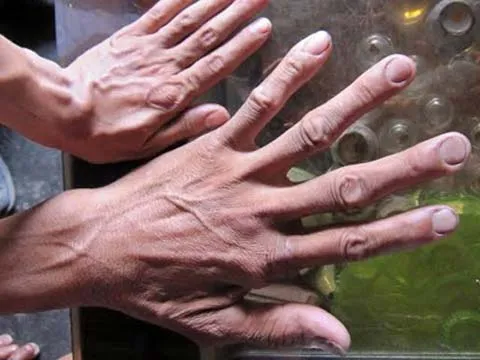 ‘người khổng lồ’, ‘nửa còn lại’, Quảng Bình, bàn chân, xua đuổi