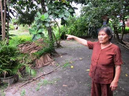 Phước Sang, nghi án lừa đảo, 25 tỷ, nghệ sỹ, tố cáo, đất đai