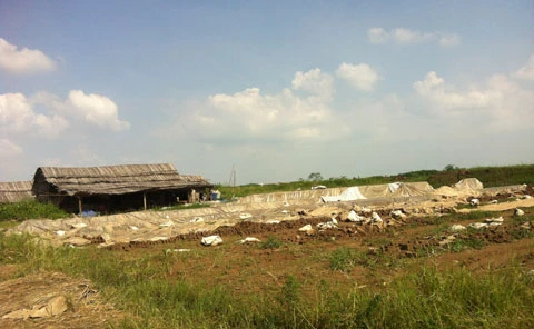 Mê Linh, Thạch Đà, lò gạch, Đan Phượng, nông dân...