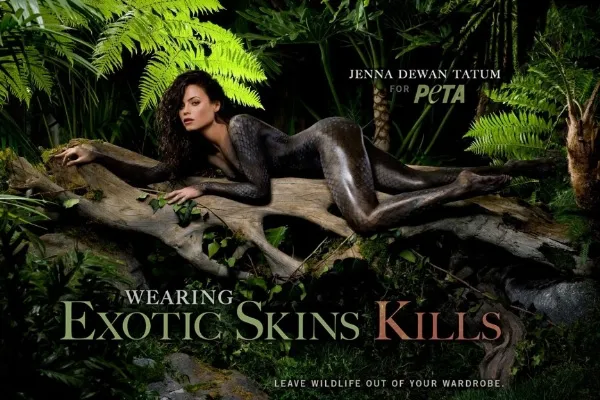 nude, ảnh, người đẹp