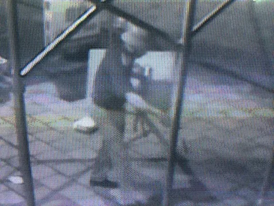 Hình ảnh kẻ gian thu được từ camera