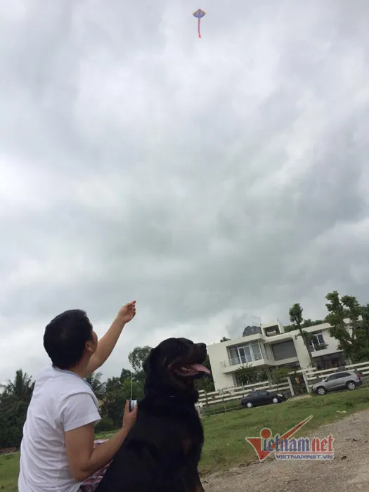 Trọng Tấn, Thanh Hoa, gia đình, hạnh phúc Trọng Tấn, Thanh Hoa, gia đình, hạnh phúc