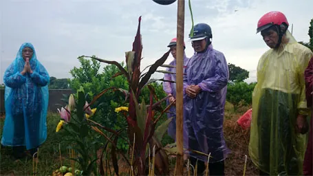 Bố mẹ đẻ chị Huyền đội mưa thắp hương nhận mộ con