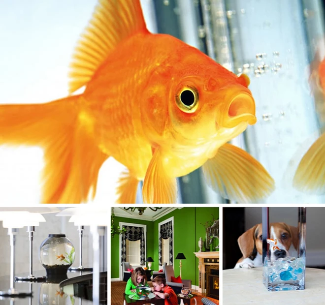 10 dịch vụ khách sạn lạ lùng trên thế giới ảnh 8