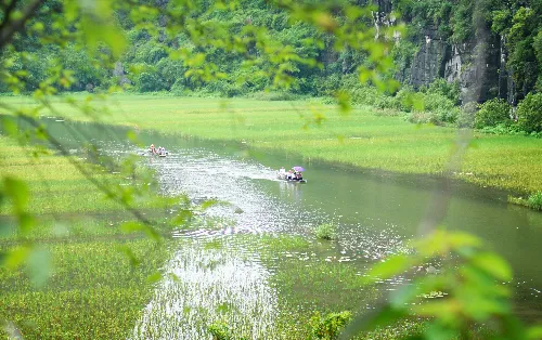 14374205936-02c989b600-o-1-5482-14101512