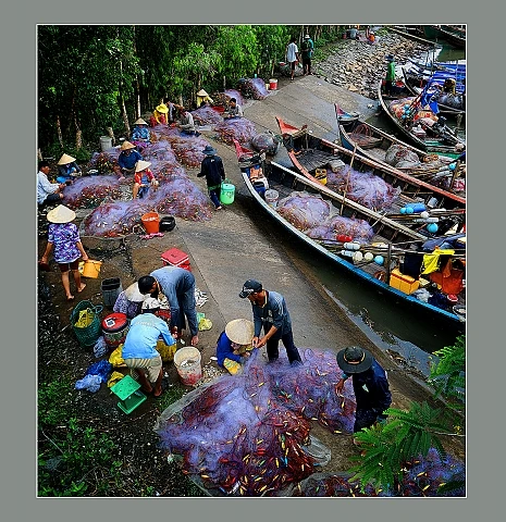 'Trên đỉnh công trình' và 'Sức khỏe cho cộng đồng' đoạt HCV ảnh 6