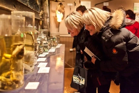 Những bảo tàng sex nổi tiếng thế giới