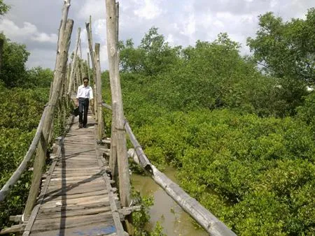 Về quê lúa khám phá cồn biển đẹp nhất xứ Bắc ảnh 3 Về quê lúa khám phá cồn biển đẹp nhất xứ Bắc