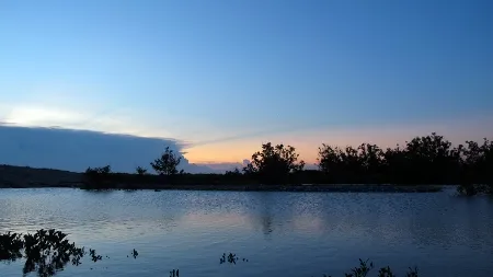 Về quê lúa khám phá cồn biển đẹp nhất xứ Bắc ảnh 5 Về quê lúa khám phá cồn biển đẹp nhất xứ Bắc