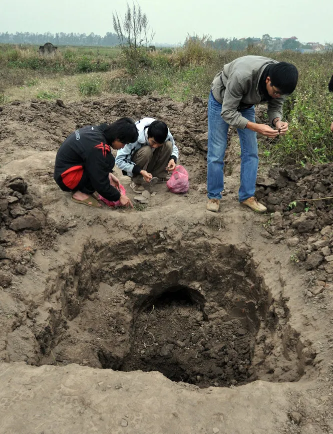 Nhiều hầm hố là dấu vết đào bới tại di chỉ khảo cổ học Vườn Chuối (Hoài Đức, Hà Nội) -Ảnh: Lâm Thị Mỹ Dung