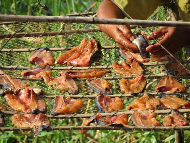 Tràm Chim, thiên đường mùa nước nổi ảnh 13