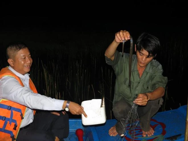 Tràm Chim, thiên đường mùa nước nổi ảnh 6