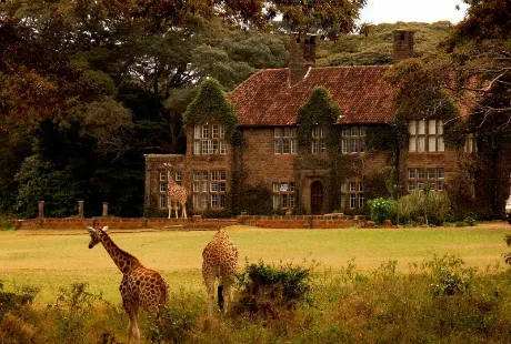 Khách sạn 'hươu cao cổ' độc đáo nhất thế giới ảnh 4 Minh Anh