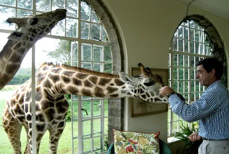 Khách sạn 'hươu cao cổ' độc đáo nhất thế giới ảnh 7 Minh Anh