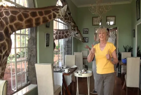 Khách sạn 'hươu cao cổ' độc đáo nhất thế giới ảnh 8 Minh Anh