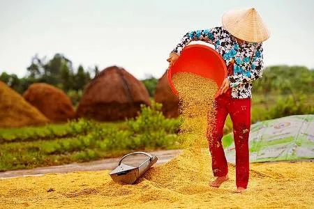 Làng quê dân dã giá trị hơn những resort bạc tỷ