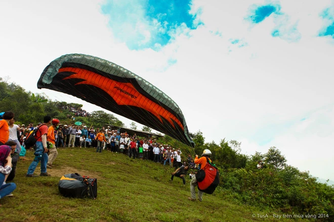 Vẻ đẹp mùa vàng Mù Cang Chải từ dù lượn ảnh 2