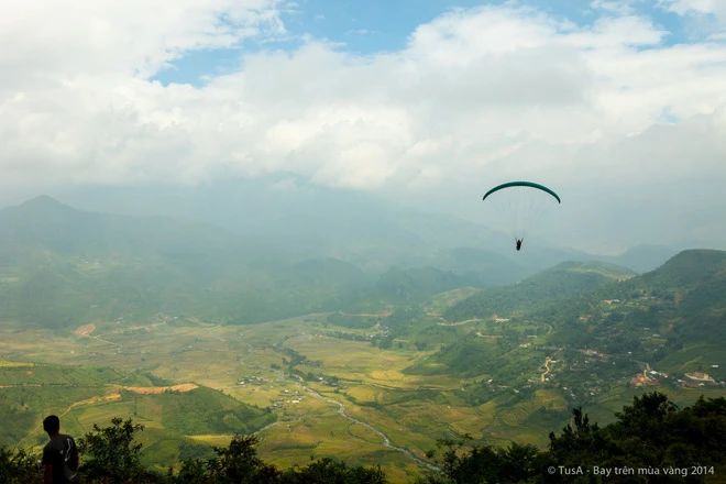 Vẻ đẹp mùa vàng Mù Cang Chải từ dù lượn ảnh 3