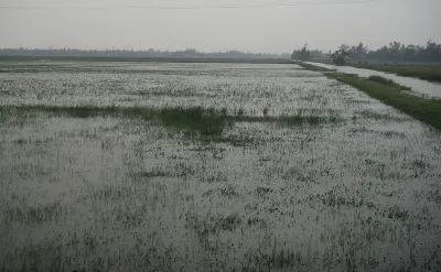 Khu vực xảy ra sự việc