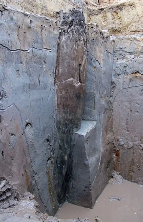 Cọc gỗ được tìm thấy ở bãi cọc Yên Giang chứng minh một lần nữa quy mô bãi cọc và cách đóng cọc của quân dân nhà Trần. coc-go-chien-thang-bach-dang-7700-141266