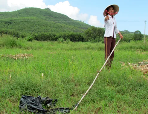 29-10-Anh-1-Heo-rung-tan-cong-6548-14145