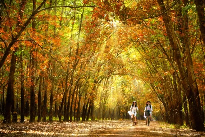 Những cung đường hùng vĩ ở Việt Nam ảnh 11 Những cung đường hùng vĩ ở Việt Nam ảnh 11