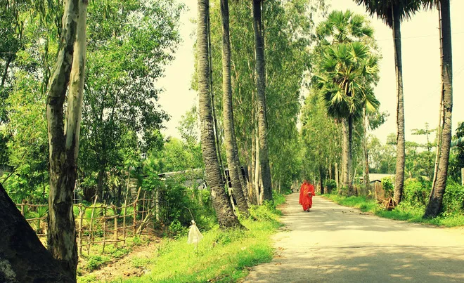 Vẻ bình yên miền sông nước An Giang ảnh 2 Vẻ bình yên miền sông nước An Giang ảnh 2