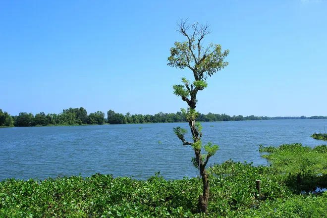 Vẻ bình yên miền sông nước An Giang ảnh 4 Vẻ bình yên miền sông nước An Giang ảnh 4