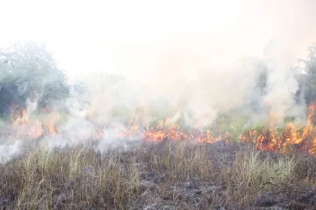 Nguyễn Hiền - Gia Chính