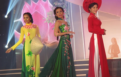 Hoa hậu VN 2014: Ấn tượng đêm chung khảo phía Nam tại Bạc Liêu ảnh 3