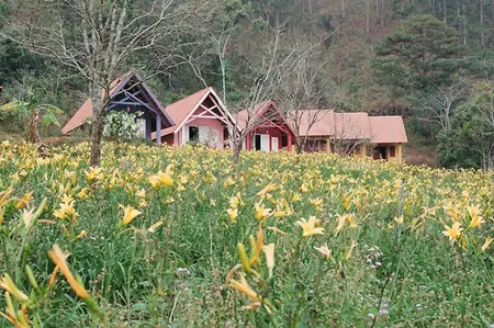  Du khách đi qua cầu treo vào làng Cù Lần