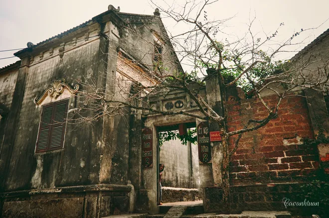 Những nét cổ Đường Lâm ảnh 6