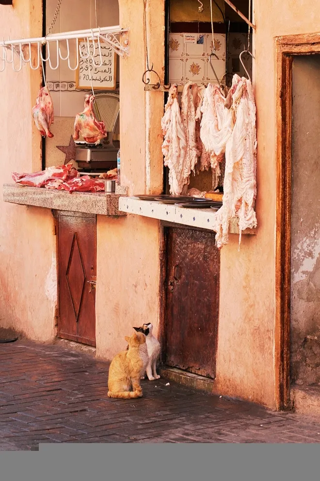 Việt Nam trong bộ ảnh ẩm thực đẹp nhất thế giới ảnh 6