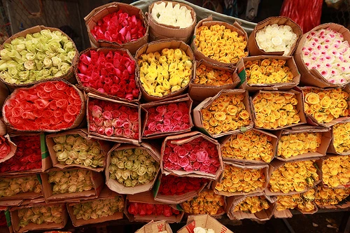 8448121132-4248cb260f-2521-1416822248.jp