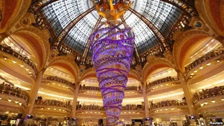 Cây thông lộn ngược