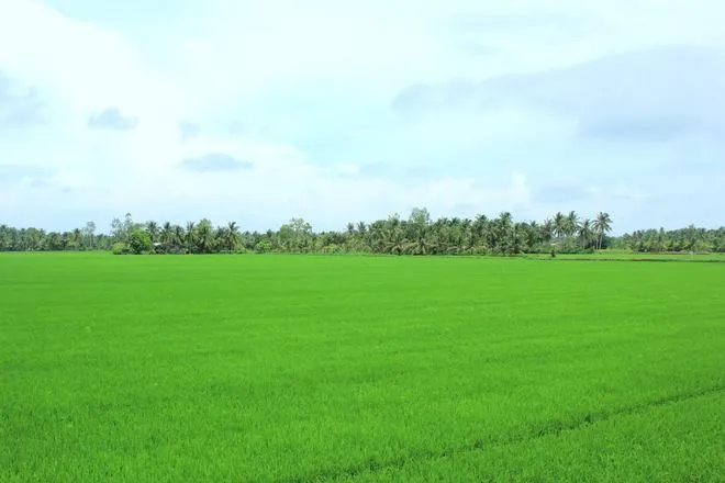 Nét duyên thầm của thành phố Trà Vinh ảnh 2 Nét duyên thầm của thành phố Trà Vinh ảnh 2