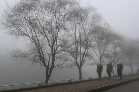 Những người phụ nữ Sa Pa cần mẫn lấy thức ăn cho gia súc.