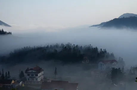 Đồi thông trong sương!