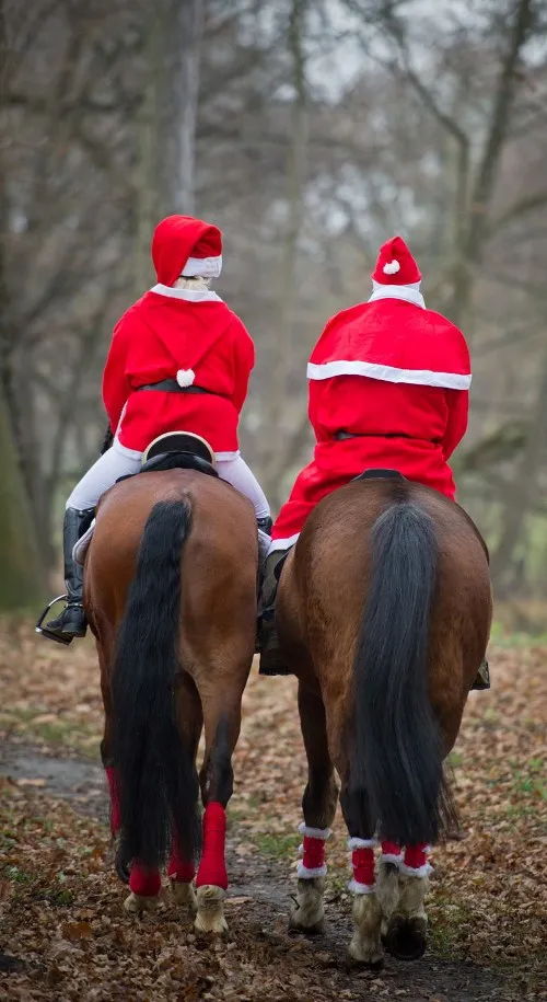 Hai ông già tuyết cưỡi ngựa để tới bữa tiệc Giáng sinh tại Alt Zeschdorf, miền đông nước Đức. Ảnh:AFP. GERMANY-TRADITION-CH-793398-01-4244-2683