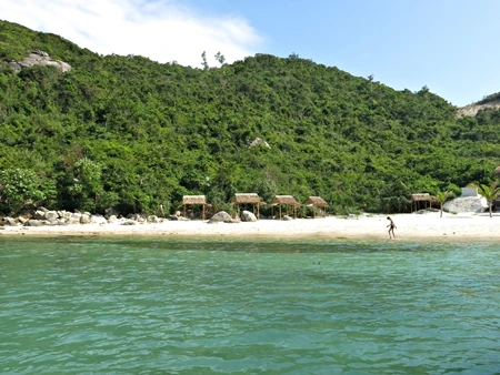 Đảo Cù Lao Chàm với vẻ đẹp hoang sơ