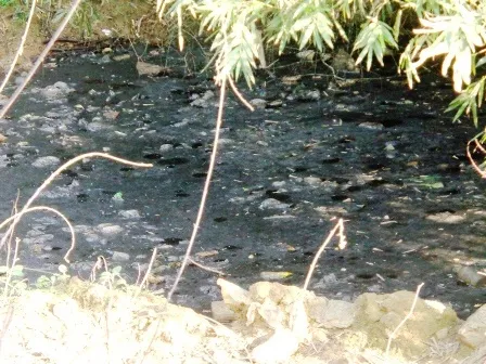  Nước thải từ bãi rác bốc mùi xú uế, đen ngòm.