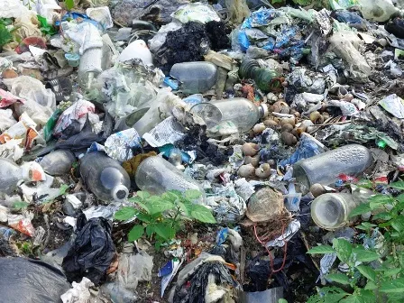  Rác thải y tế cũng nằm la liệt tại bãi rác mà không được xử lý.