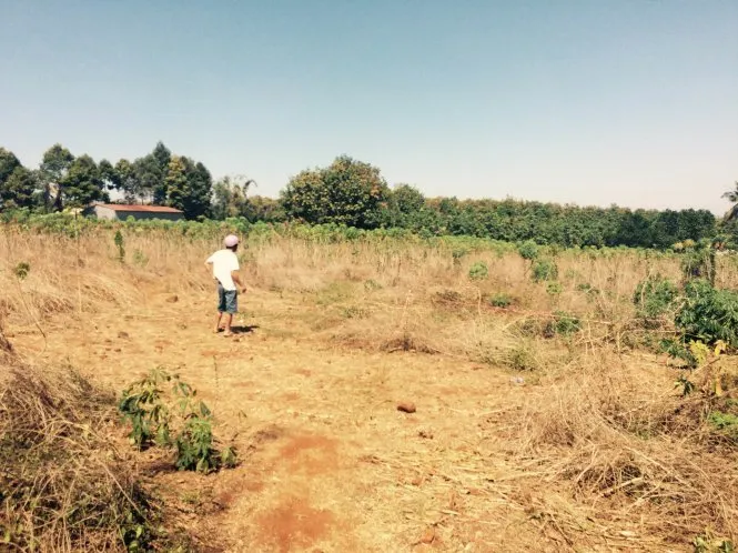 Hiện trường nơi phát hiện chiếc xe gắn máy của bà Nguyễn Thị Nga - Ảnh: Bùi Liêm Hiện trường nơi phát hiện chiếc xe gắn máy của bà Nguyễn Thị Nga - Ảnh: Bùi Liêm