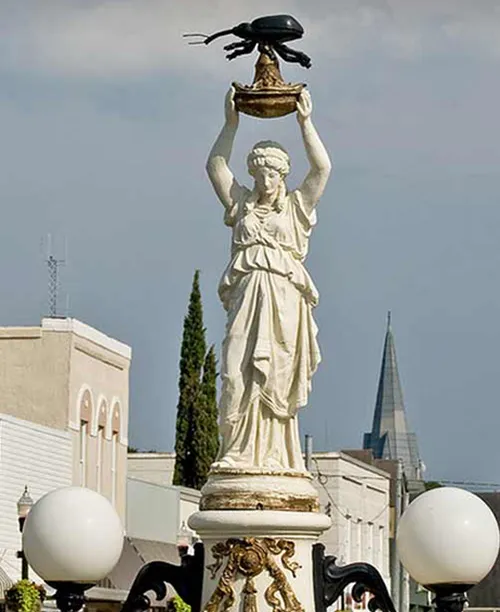 Tọa lạc tại trung tâm thành phốEnterprise,Alabama, Mỹ, bức tượng BollMonument ra đời vào năm 1919 nhằm thể hiện sự tri ân một loại bọ cánh cứng vì ảnh hưởng của nó đối với nền nông nghiệp và kinh tế thời bấy giờ. Bức tượng dựng lên nhằm nhắc nhở mọi người về việc nên có những thay đổi đúng ở từng thời điểm nhất định. Tuy nhiên từ khi hoàn thành đến nay, nó luôn nằm trong danh sách "thảm họa điêu khắc" theo nhận định của du khách lẫn giới chuyên gia. 1-7181-1423192749.jpg