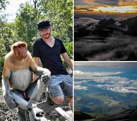 Những chú khỉ ở đảo Borneo thuộc vùng biển Đông Nam Á