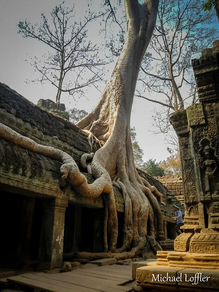 Đền Ta Prohm, Campuchia