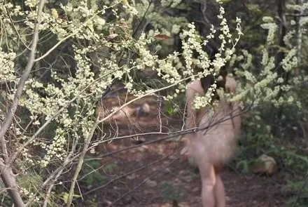 Dịch vụ tắm khỏa thân trong rừng ở Trung Quốc từng gây nhiều tranh cãi. Ảnh:chinadaily trial-nude-program-in-guangdong-park-sti